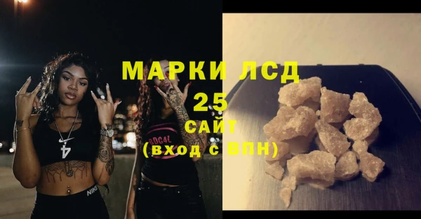 СК Волоколамск