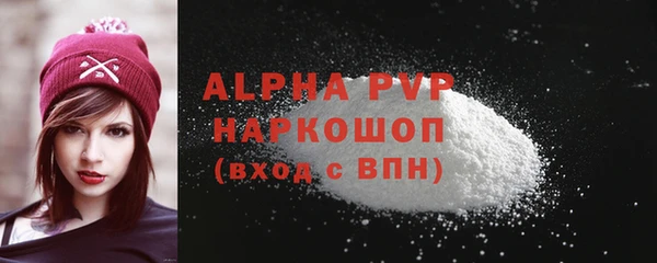 СК Волоколамск