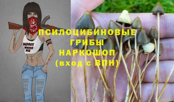 герыч Володарск